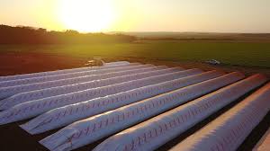 Seguro para Silo bolsa